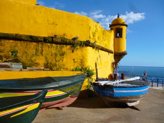 Madeira zu Fuß: Im Farbenmeer der Natur „baden“ gehen