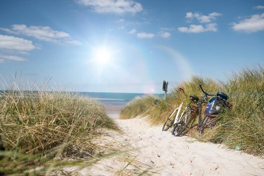 Immer an der Ostsee entlang: Radeln mit Küstenblick